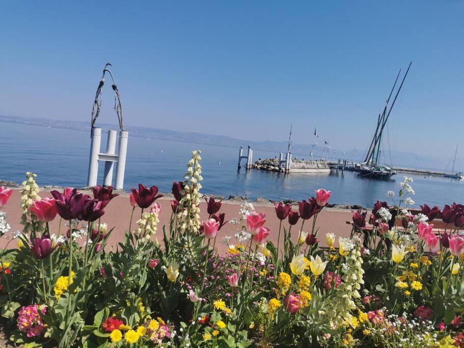Vue Sur Le Golf Et Le Leman Appartement Publier